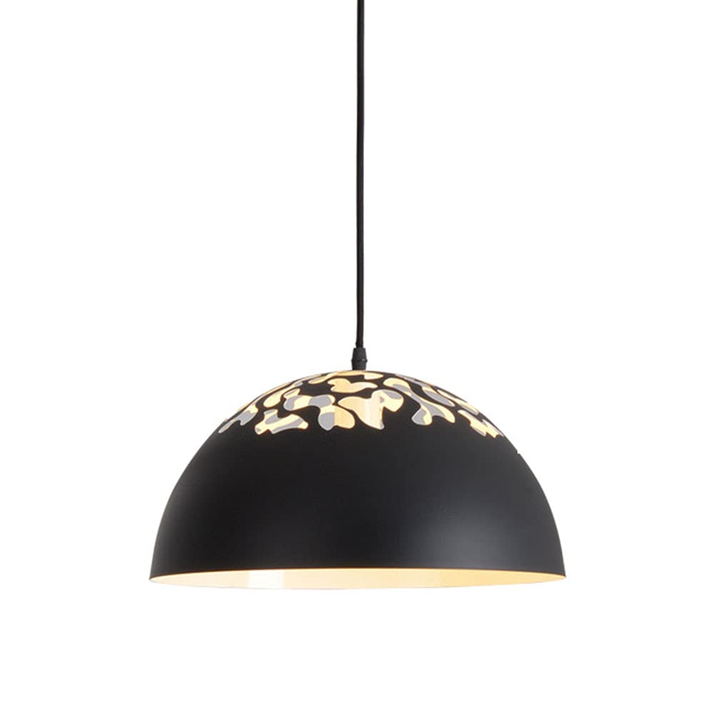 Amazon.com: HAIIQU Barn Light Fixture with 47